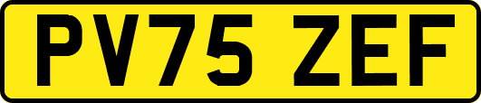 PV75ZEF