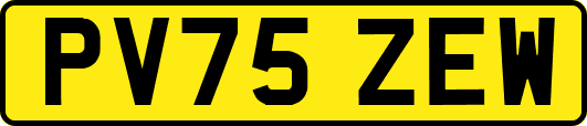 PV75ZEW