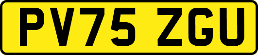 PV75ZGU