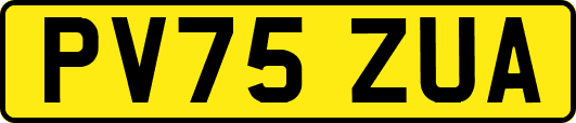 PV75ZUA