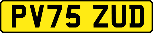 PV75ZUD
