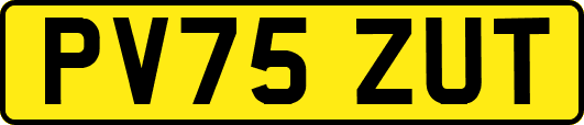 PV75ZUT