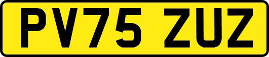 PV75ZUZ