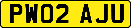 PW02AJU