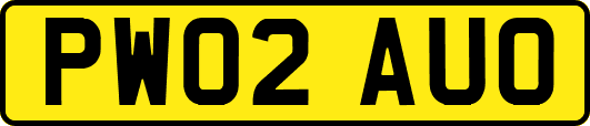 PW02AUO