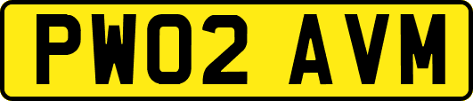 PW02AVM