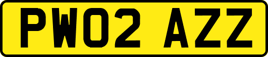 PW02AZZ