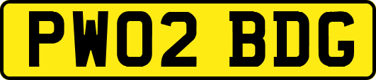 PW02BDG