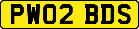 PW02BDS