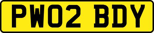 PW02BDY