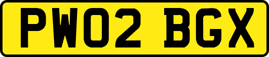 PW02BGX