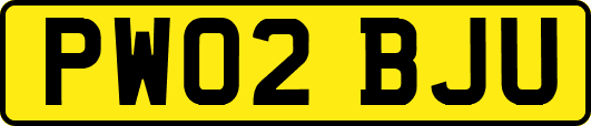 PW02BJU