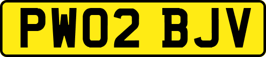 PW02BJV