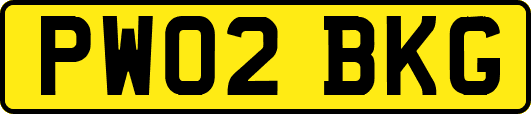 PW02BKG