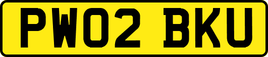 PW02BKU