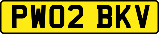 PW02BKV
