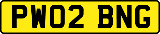 PW02BNG