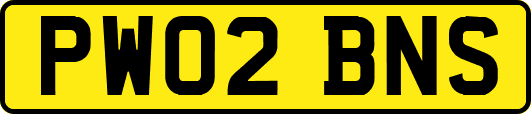 PW02BNS
