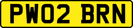 PW02BRN