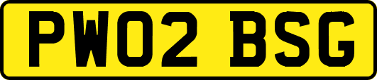 PW02BSG