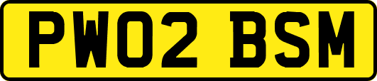 PW02BSM