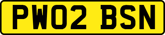 PW02BSN
