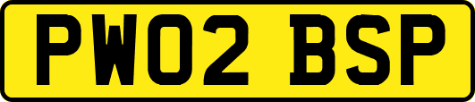 PW02BSP