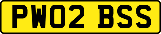 PW02BSS
