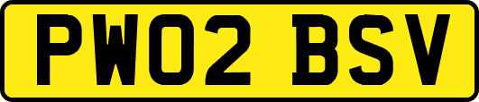 PW02BSV
