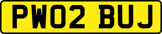 PW02BUJ
