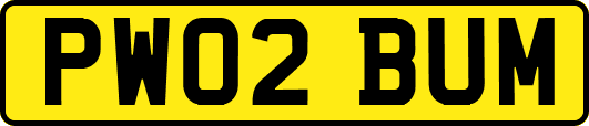 PW02BUM