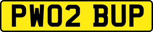 PW02BUP