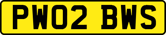PW02BWS