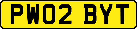 PW02BYT