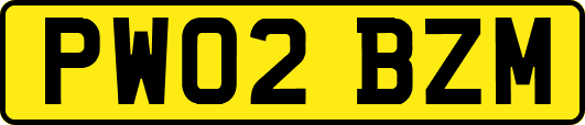 PW02BZM