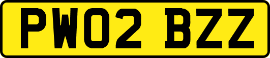PW02BZZ