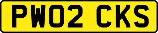 PW02CKS