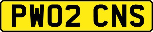 PW02CNS