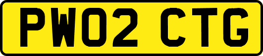 PW02CTG