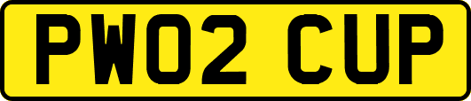 PW02CUP