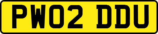 PW02DDU