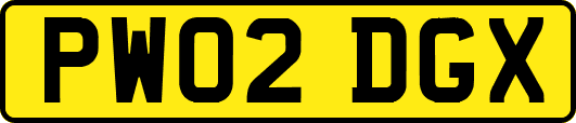 PW02DGX