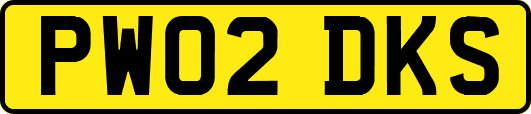 PW02DKS