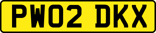 PW02DKX