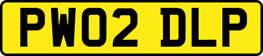 PW02DLP