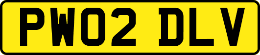 PW02DLV