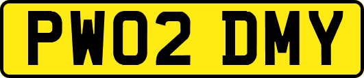 PW02DMY