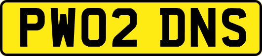 PW02DNS