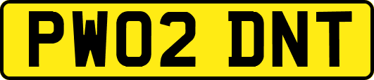 PW02DNT