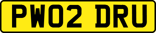 PW02DRU